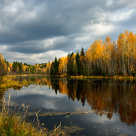 фотограф Виталий Полуэктов. Фотография "хмурая осень"