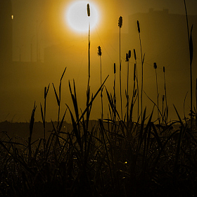 фотограф Дмитрий Шишкин. Фотография "Восход солнца в Минске"