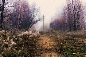 Ушедший ноябрь | Фотограф Александр Чиж | foto.by фото.бай
