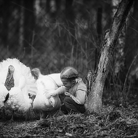 Девочка и индюки | Фотограф Юлия Войнич | foto.by фото.бай