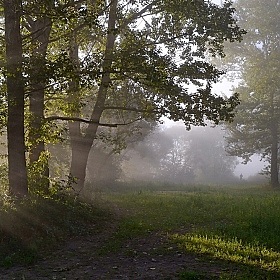 Туман | Фотограф владимир иванов | foto.by фото.бай