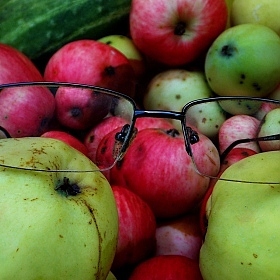 фотограф Елена Ситник. Фотография "Умные яблоки"