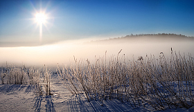 Зимние травы | Фотограф Сергей Шабуневич | foto.by фото.бай