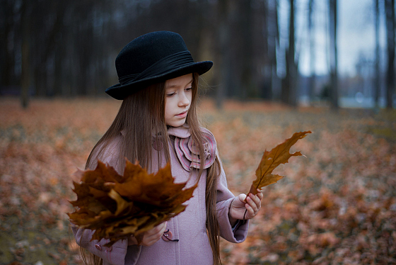 Фотограф Ирина Вьюн, фотография добавлена 10.11.2019