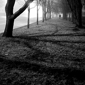 В тумане | Фотограф Иван Виткоин | foto.by фото.бай
