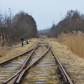 Дорога в никуда | Фотограф Анна Яськова | foto.by фото.бай