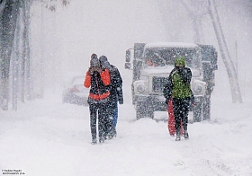снежный шторм | Фотограф Владислав Рогалев | foto.by фото.бай