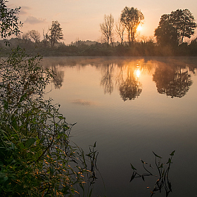 Утро на Припяти | Фотограф Александр Шатохин | foto.by фото.бай