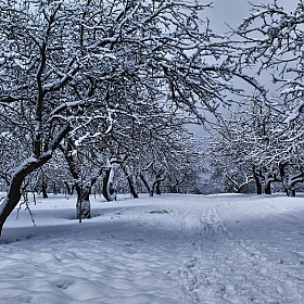 фотограф Сергей Шабуневич. Фотография "Вот и зима"