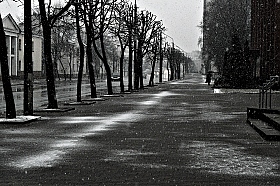 В ожидании зимы | Фотограф dachaterechonok | foto.by фото.бай