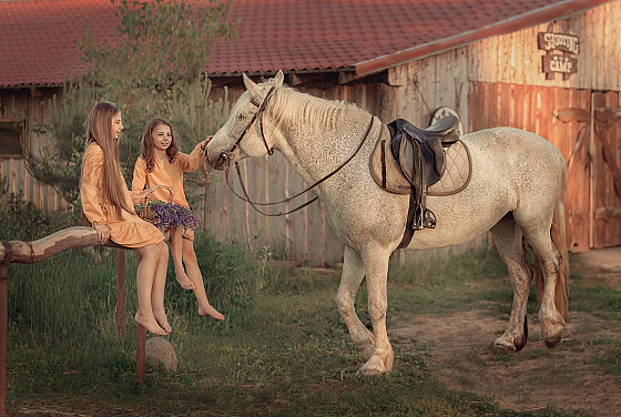 Фотограф Алена Кисель, фотография добавлена 04.08.2019