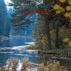 Осени прощальная краса | Фотограф Александр Задёрко | foto.by фото.бай