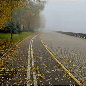 за туманом по велодорожке | Фотограф Игорь Сафонов | foto.by фото.бай