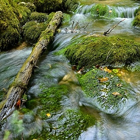 фотограф Александр Латышевич. Фотография "Мимо текла река..."