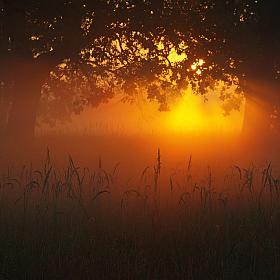 Где просыпается солнце | Фотограф Сергей Шляга | foto.by фото.бай