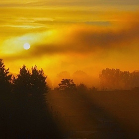 фотограф Дмитрий Федоров. Фотография "солнышко в тумане"