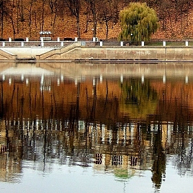 фотограф Виктор Позняков. Фотография "Рыжая осень"