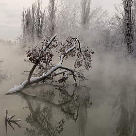 фотограф Александр Плеханов. Фотография "Туман над водой"