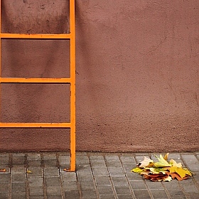 фотограф Александр Кузнецов. Фотография "Осень делает всё желтым"