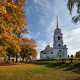 осень в городе | Фотограф Виталий Полуэктов | foto.by фото.бай