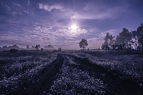 Ночной дозор) | Фотограф Евгений Небытов | foto.by фото.бай
