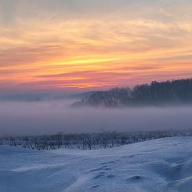 Воспоминание о зиме | Фотограф Сергей Шабуневич | foto.by фото.бай