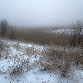 Туман. | Фотограф Сергей Лысенко | foto.by фото.бай