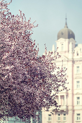 Весна | Фотограф Юрий Шимаковский | foto.by фото.бай