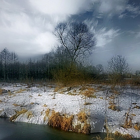 фотограф Диана Буглак-Диковицкая. Фотография "В начале зимы"