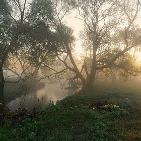 Утро нового дня | Фотограф Диана Буглак-Диковицкая | foto.by фото.бай