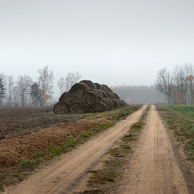 Как то осенью | Фотограф Сергей Шабуневич | foto.by фото.бай