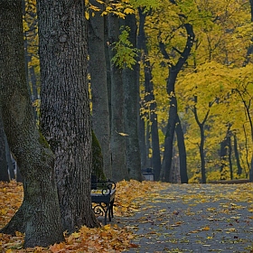 фотограф Николай Никитин. Фотография "в осеннем парке"