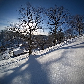 мороз и солнце | Фотограф Сергей Шляга | foto.by фото.бай