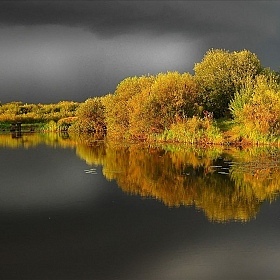 Перед грозой | Фотограф Игорь Денисов | foto.by фото.бай