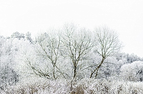 Королева Зима | Фотограф Sergeu Ogorod | foto.by фото.бай