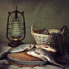 Рыбный день | Фотограф Ирина Приходько | foto.by фото.бай