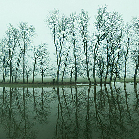 фотограф Андрей Семенков. Фотография "Вода, деревья..."