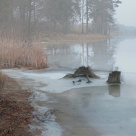 Январь на озере | Фотограф Валерий Козуб | foto.by фото.бай