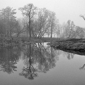 фотограф Роман Маисей. Фотография "Туман"
