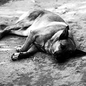 усталость | Фотограф урал КЗН | foto.by фото.бай