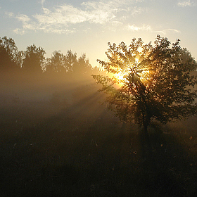 Игривое солнце | Фотограф Сергей Тарасюк | foto.by фото.бай