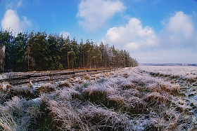 Заморозки | Фотограф Артур Язубец | foto.by фото.бай