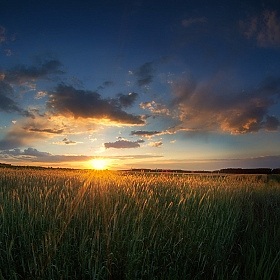 фотограф Сергей Шляга. Фотография "вечер, поле, облака"