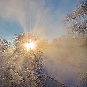 Морозное утро | Фотограф Анатолий Адуцкевич | foto.by фото.бай