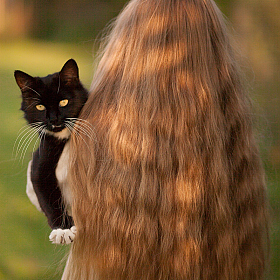 фотограф Елена Юрчик. Фотография "Кошка,которая гуляет сама по себе..."