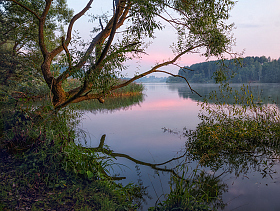 Утро у озера | Фотограф Сергей Шабуневич | foto.by фото.бай