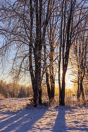 Морозное утро. | Фотограф Екатерина Осипович | foto.by фото.бай