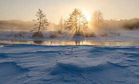 Холодные узоры на снегу. | Фотограф Руслан Авдевич | foto.by фото.бай