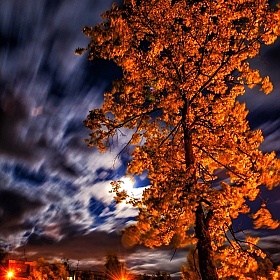 фотограф Сергей Ласута. Фотография "Осеннее настроение летней ночью"