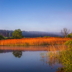 Утренняя панорама | Фотограф Сергей Шабуневич | foto.by фото.бай